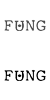 FUNG